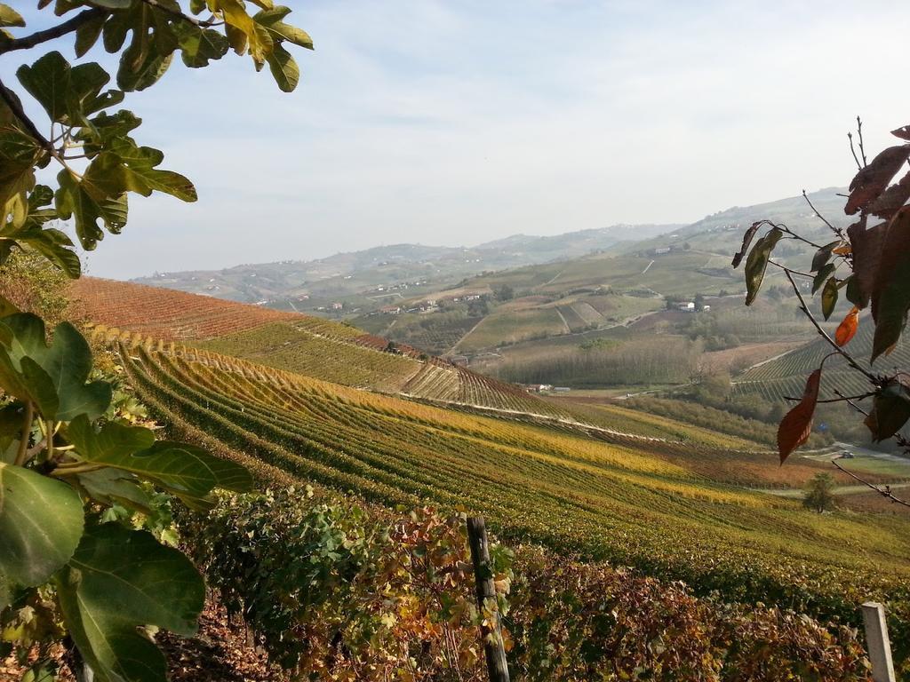 Villa Barbero Alba Langhe Mango Eksteriør bilde